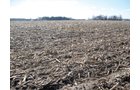 Property photo 19 - 127 Acres Offered in 4 Tracts